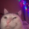 abby