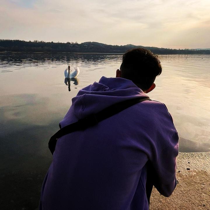 Ale