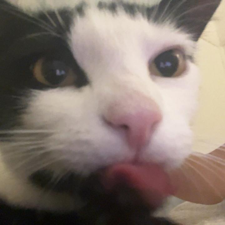 .
