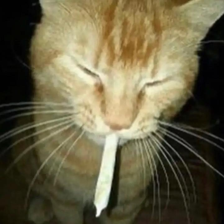 Ang