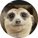 tawo megstamiausias dede