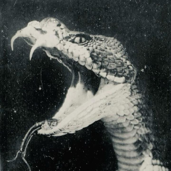 A.D