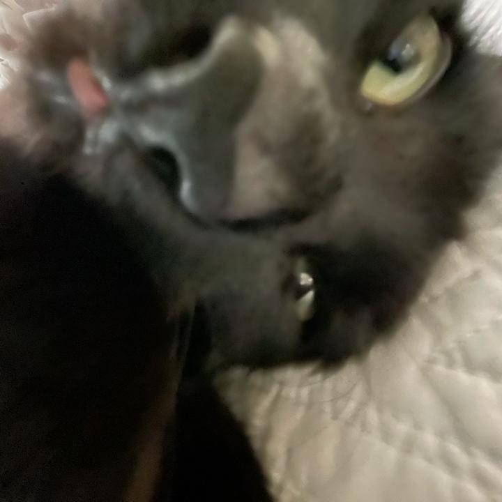 Theo