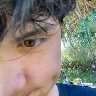 Blake Odea
