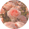 Basma