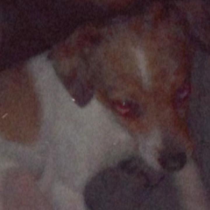 Beto