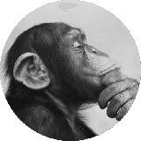 Kiki The Monkey Review's