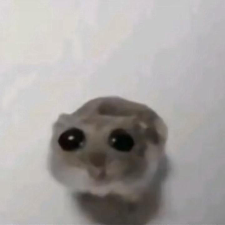 cm