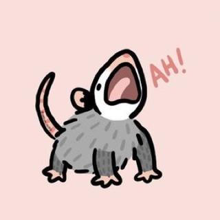 Bug