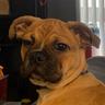 Coco.the.Don