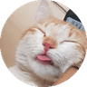Creastez k