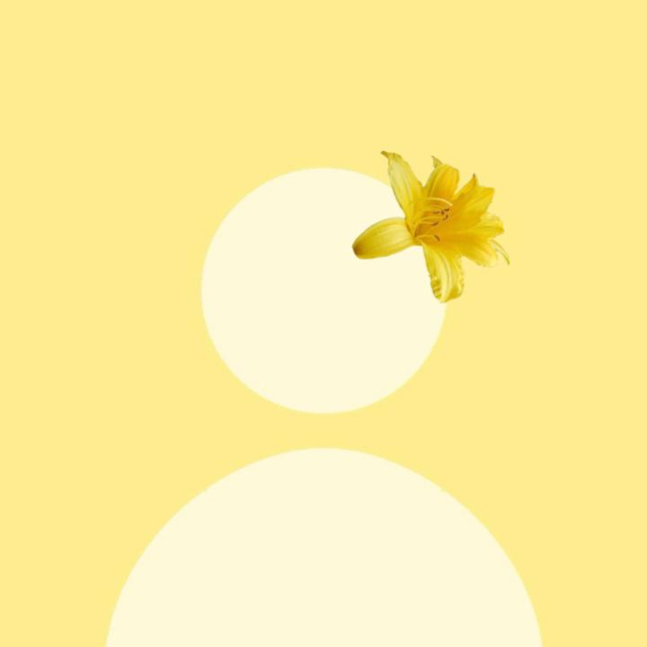 𝐃𝐀𝐑𝐂𝐈𝐄