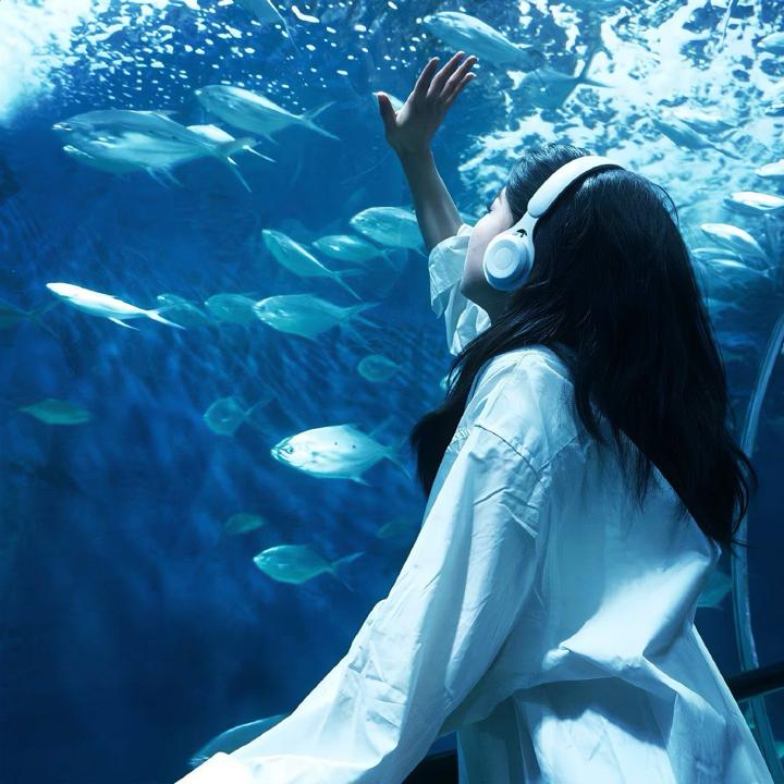 barbi_kr