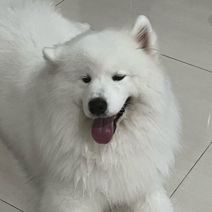 Elizabeth Madeline Given