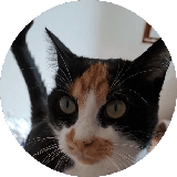 Ella Lechat
