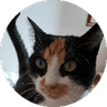 Ella Lechat