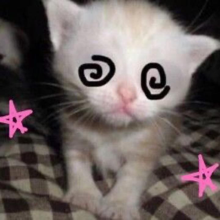 Kai