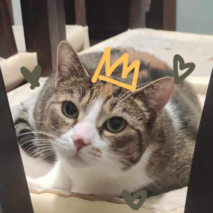 hana