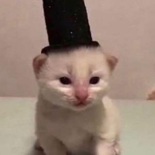 Helena Potloot