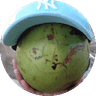Helo Isa