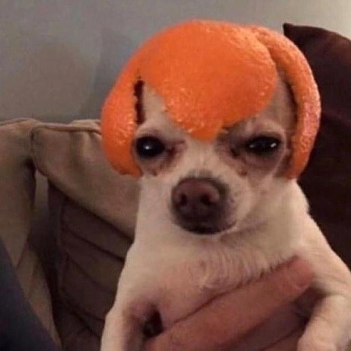 Denny