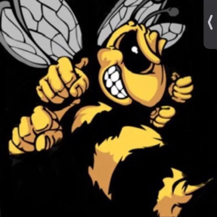 hornets_nest6