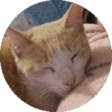 Snbr_