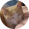Snbr_