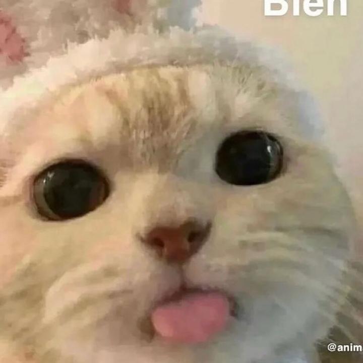 kie