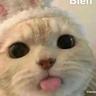 kie