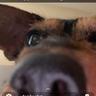 Kadie 