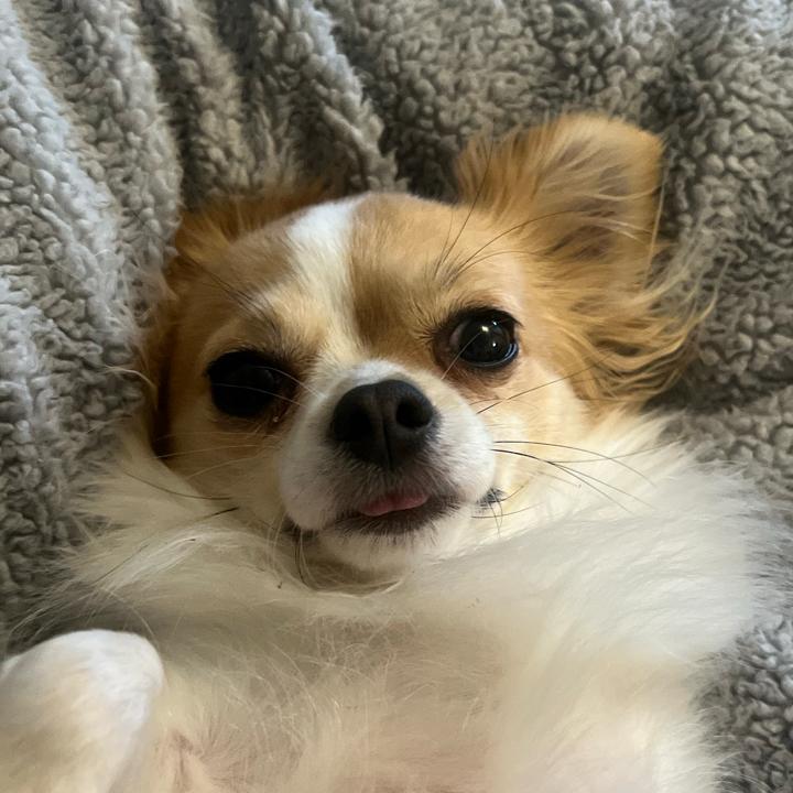 Keela 