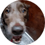 keka