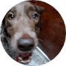 keka