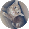 KeramikKatze1 