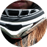 ruta