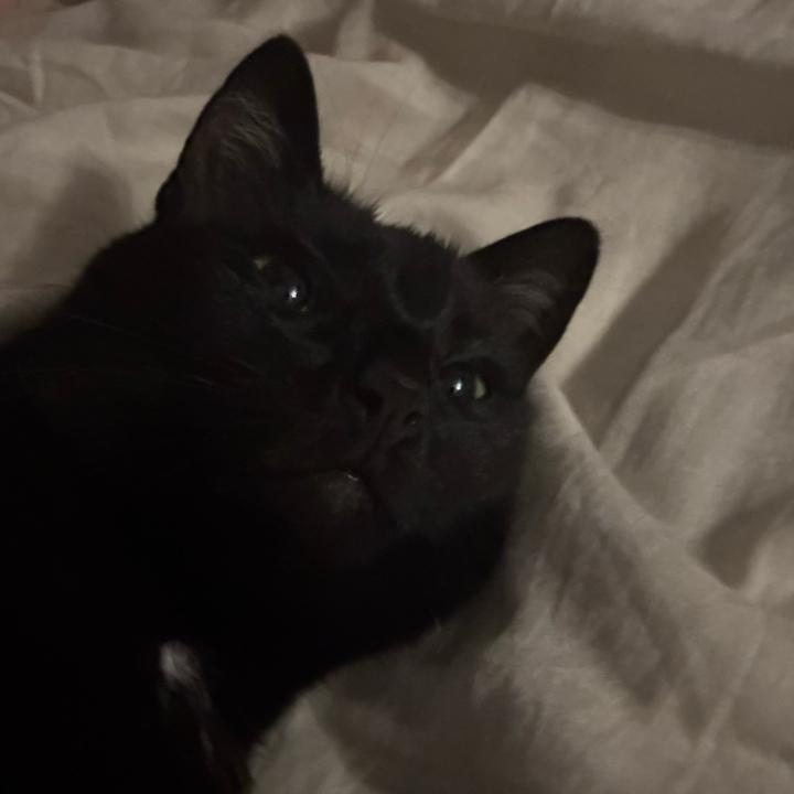 nell