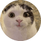 Kotryna