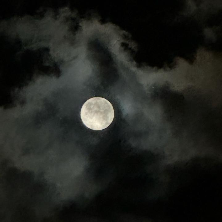 el