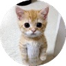 lu