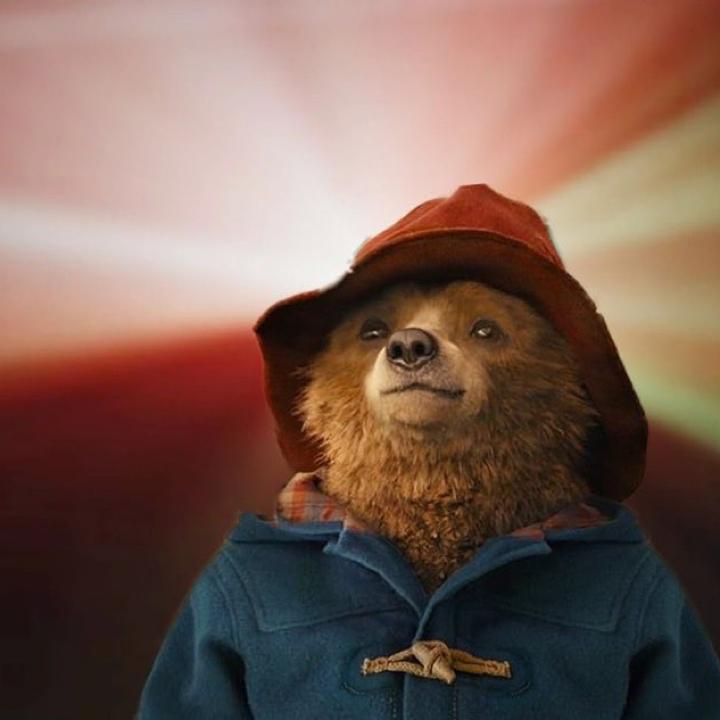 Luis Arellano Zapata