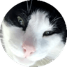 Luis