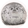 MeTheFatSeal