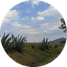 Alpizar Hernández Melany