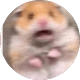 Maarten