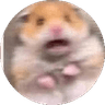 Maarten