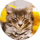 Merlin