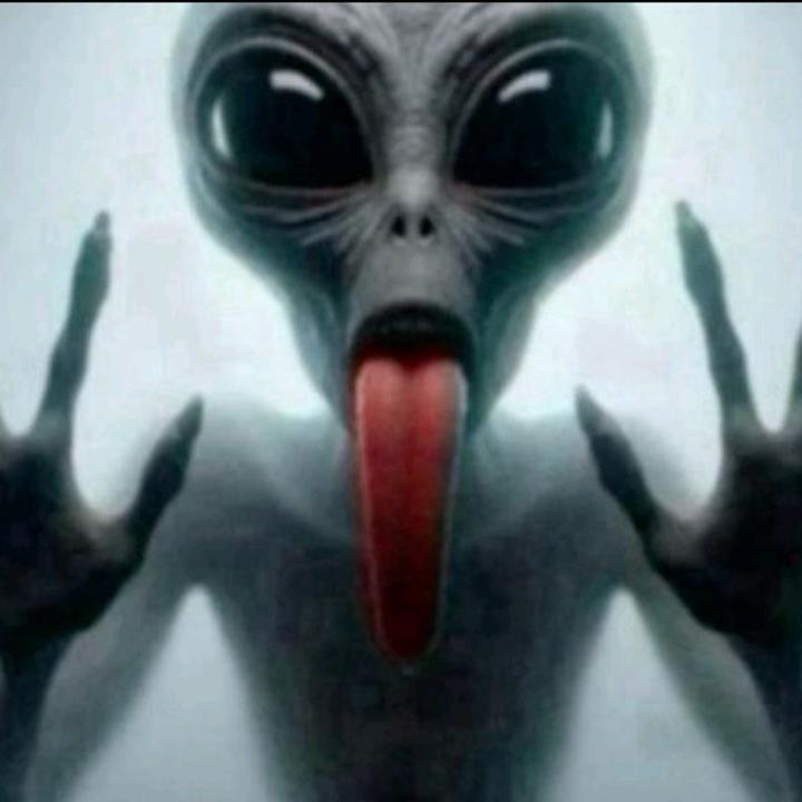 nonocaz