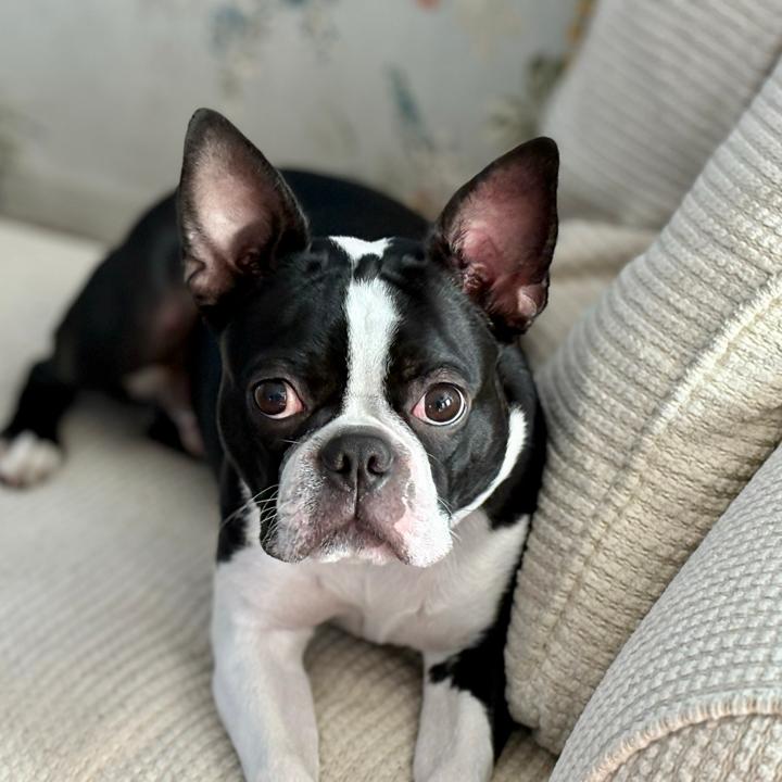 sarah