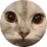 raya
